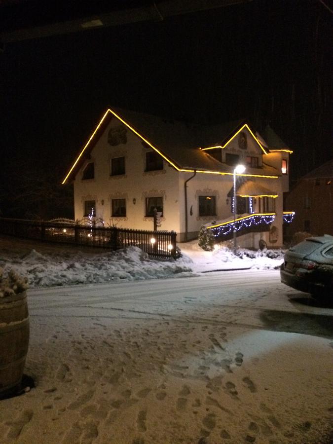 Hotel Alpenhof Markneukirchen エクステリア 写真